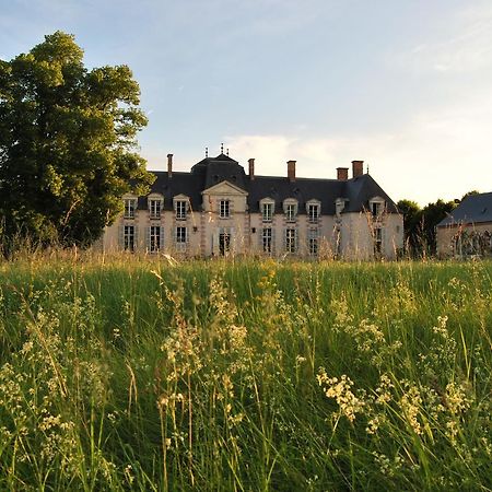 Chateau La Touanne Loire Valley Baccon Bagian luar foto