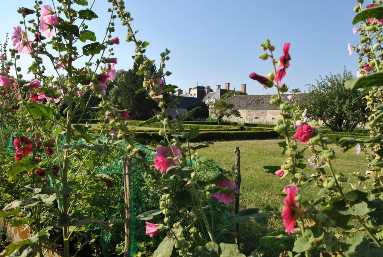 Chateau La Touanne Loire Valley Baccon Bagian luar foto