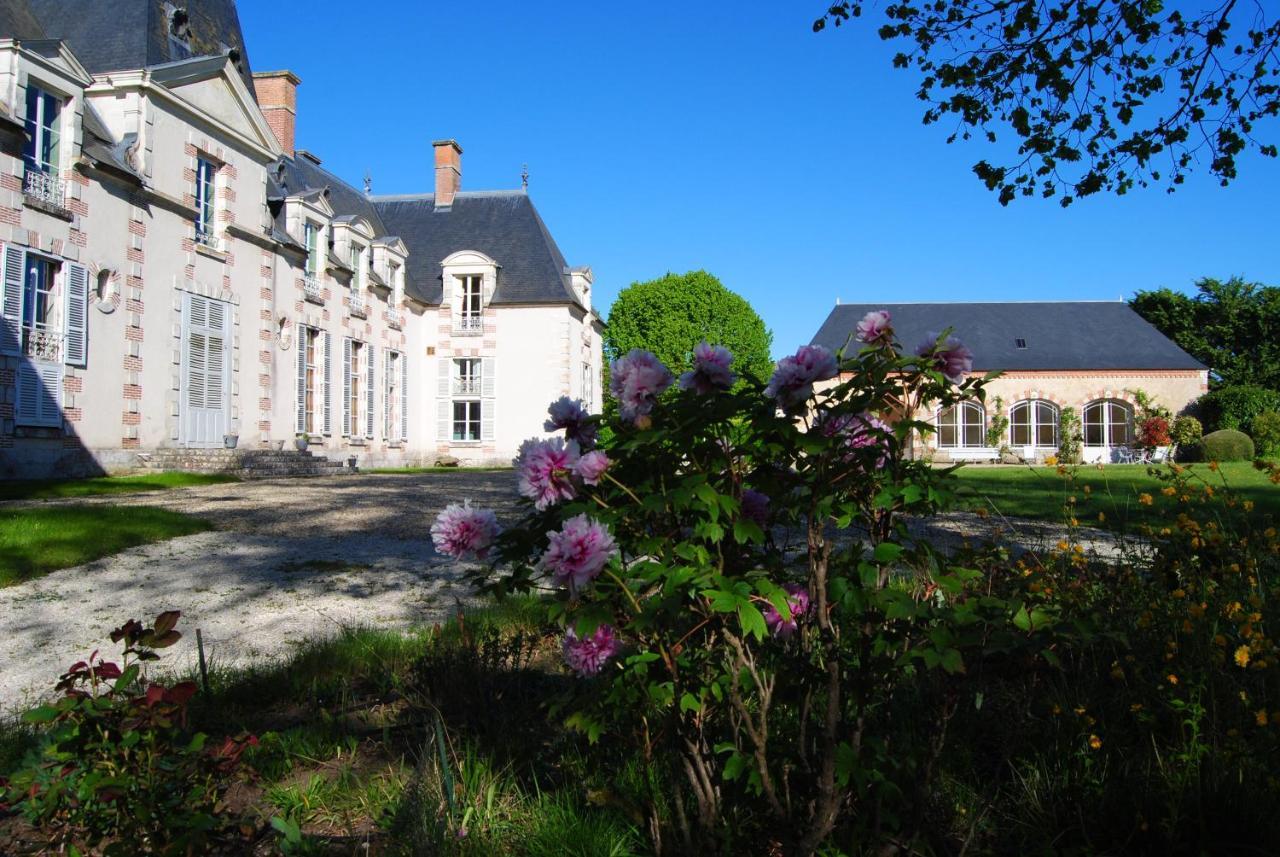 Chateau La Touanne Loire Valley Baccon Bagian luar foto