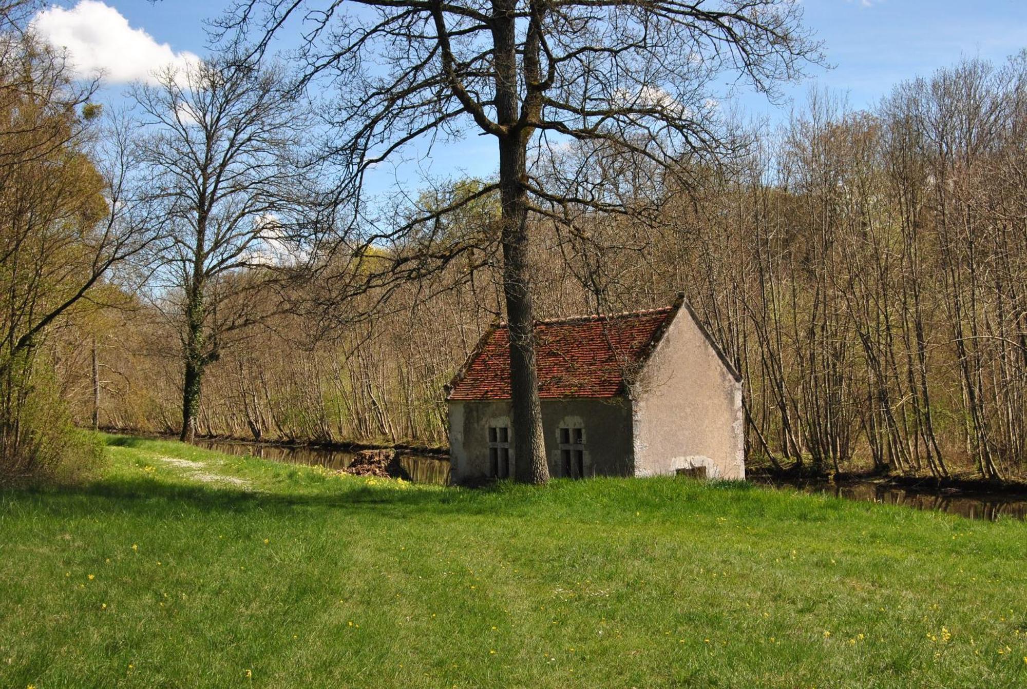 Chateau La Touanne Loire Valley Baccon Bagian luar foto