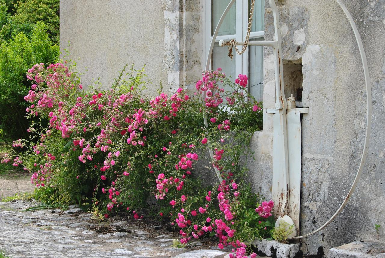 Chateau La Touanne Loire Valley Baccon Bagian luar foto