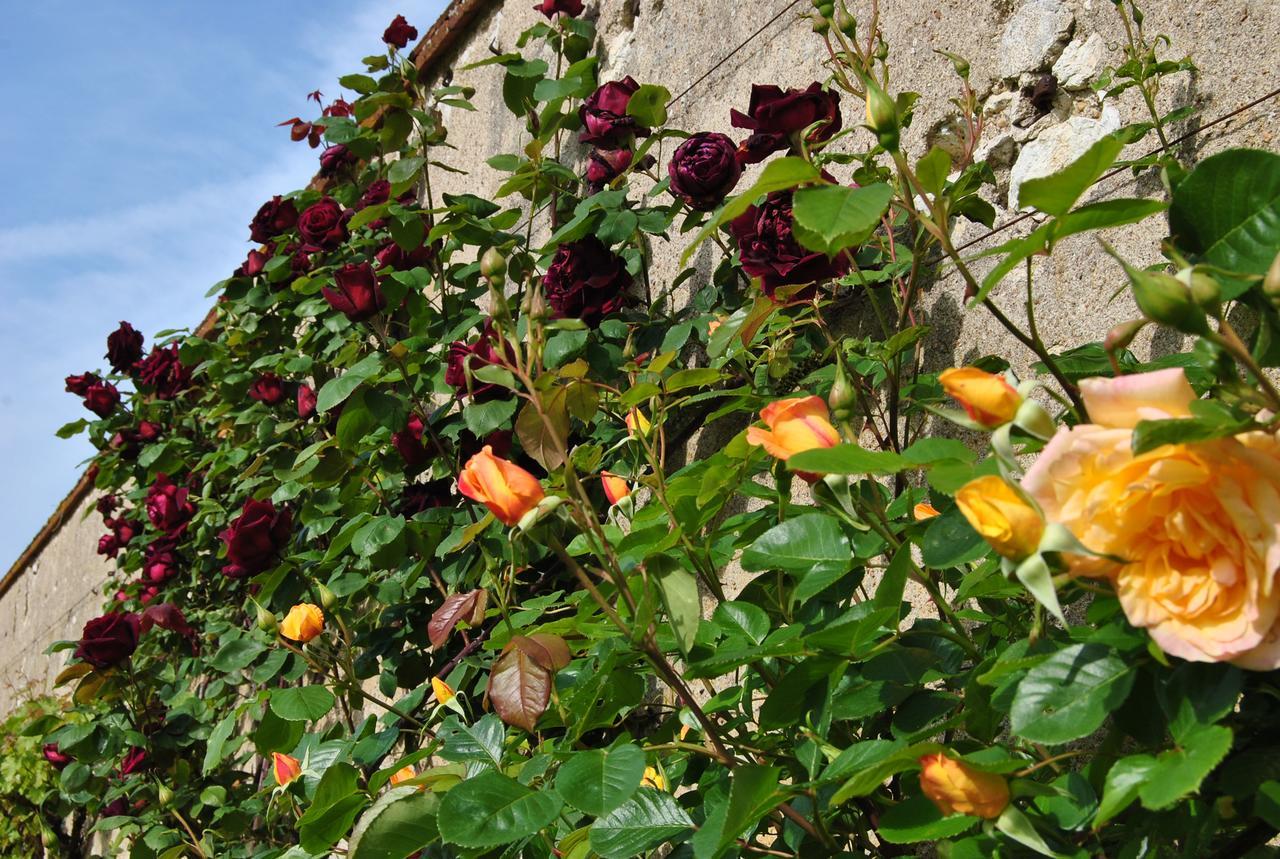 Chateau La Touanne Loire Valley Baccon Bagian luar foto