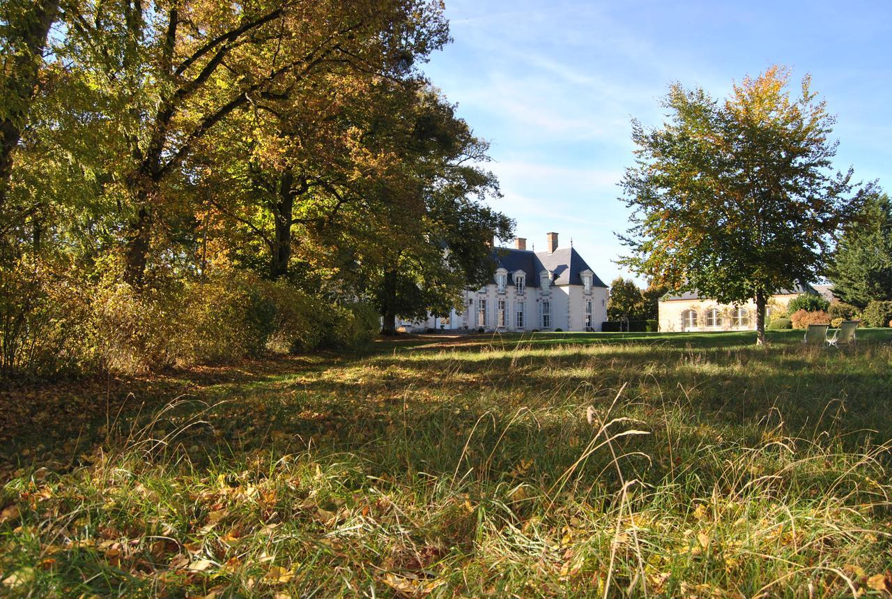 Chateau La Touanne Loire Valley Baccon Bagian luar foto