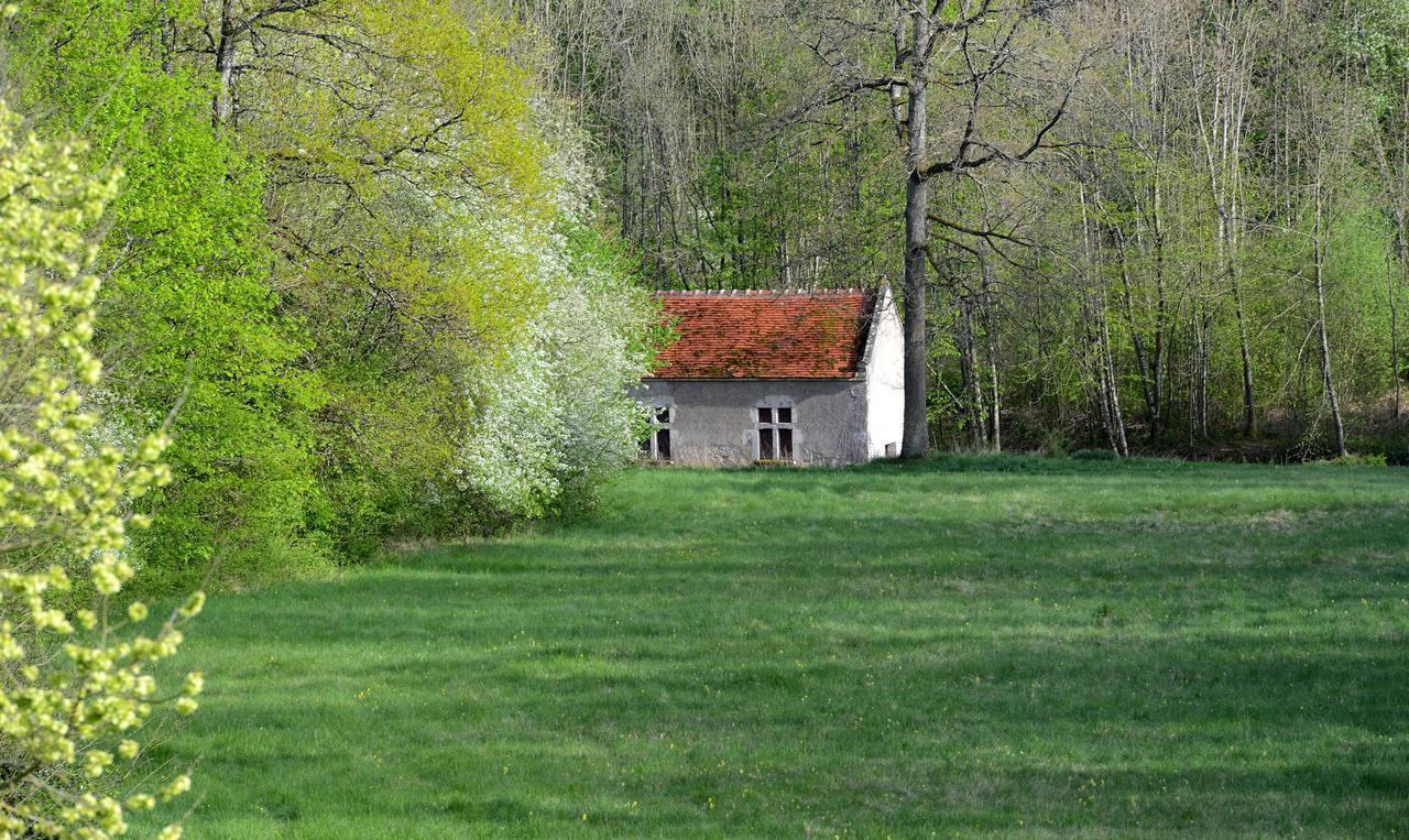 Chateau La Touanne Loire Valley Baccon Bagian luar foto